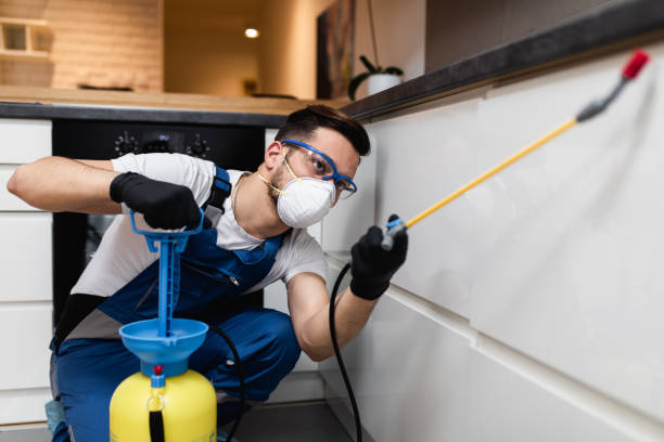 Best Best Pest Control Companies  in Tutwiler, MS