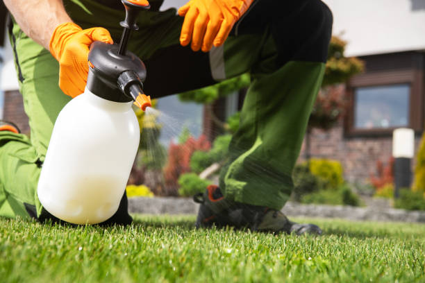Best Mosquito Control Services  in Tutwiler, MS