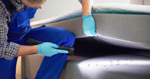Flea Control Services in Tutwiler, MS